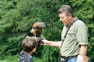Falconry and Kids and a Harris Hawk in North Carolina Curtis Wright Outfitters Curtis Wright Outfitters