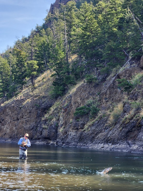 Guided Fly Fishing & Falconry - Curtis Wright Outfitters