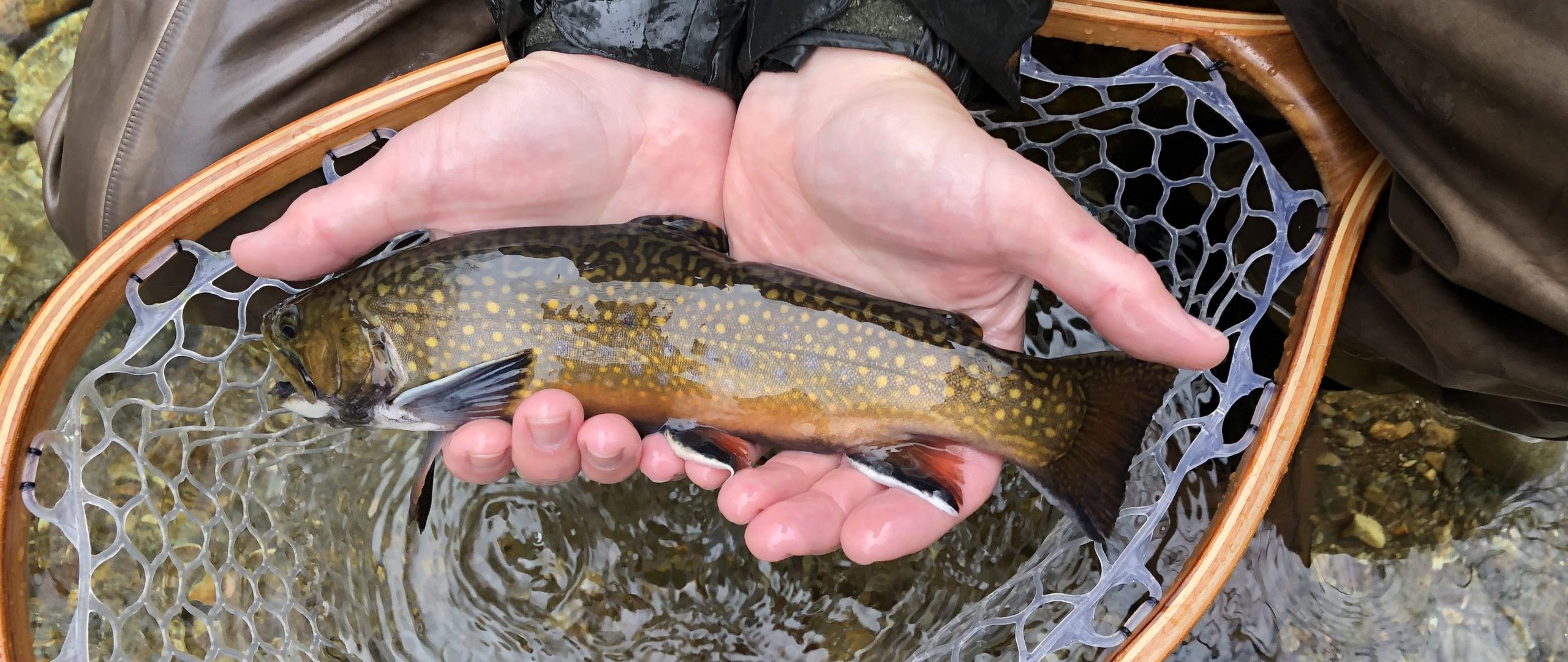 Adult Fly-Fishing Camp - Curtis Wright Outfitters