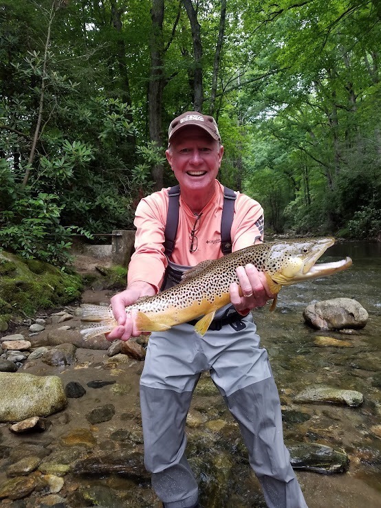 Brown Trout Davidson River Curtis Wright Outfitters