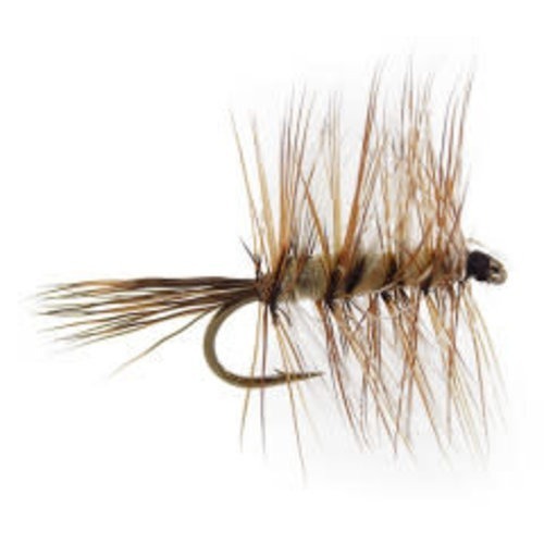 Named After a Family and Fly Tying Technique This Fly is Easy to See and Fish Can Curtis Wright Outfitters't resist it.