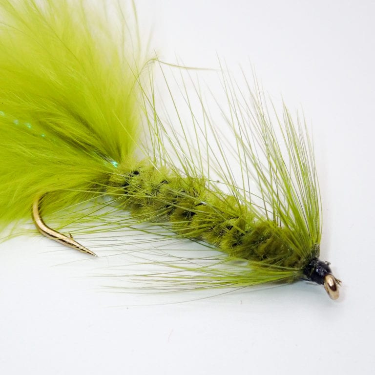 This Fly Should Be in Everyone Curtis Wright Outfitters's fly box. The Wooly Bugger