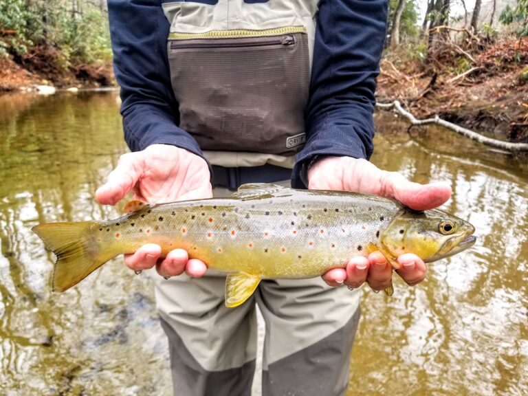 Winter Guided Fly Fishing Trip Curtis Wright Outfitters Curtis Wright Outfitters