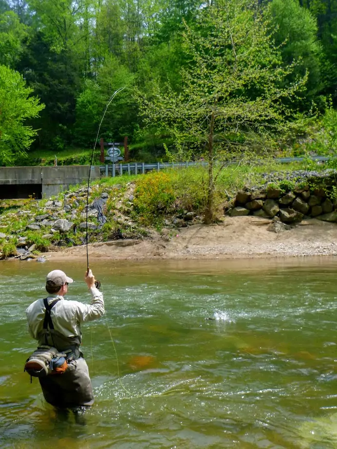 Trout Fishing Asheville Curtis Wright Outfitters Curtis Wright Outfitters